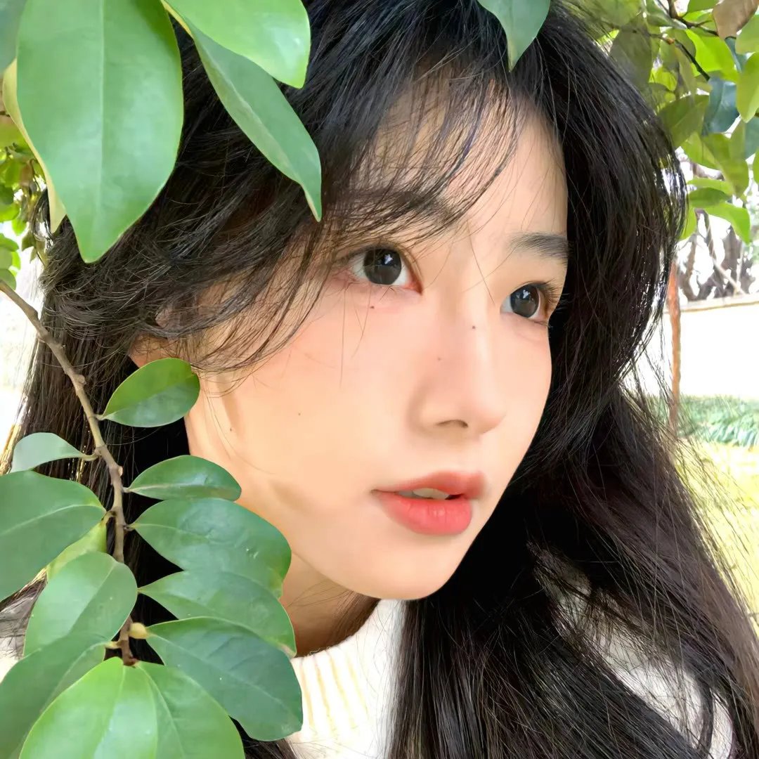 灵域第二季