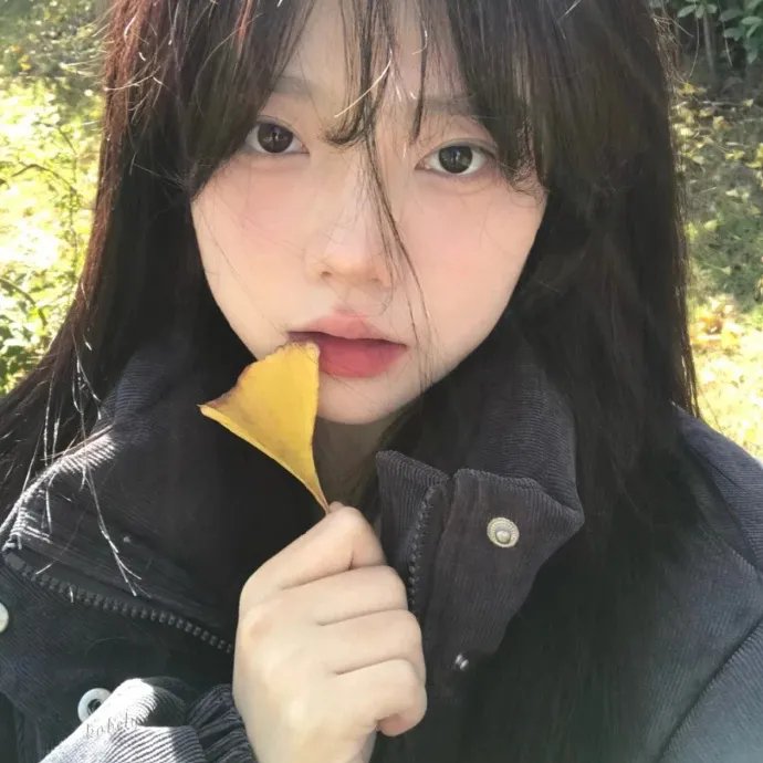 不能犯